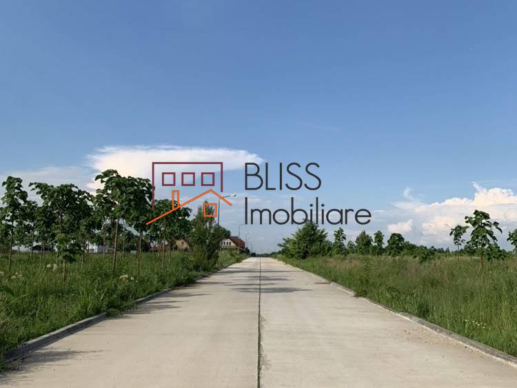 Photo 4 - BLISS Imobiliare