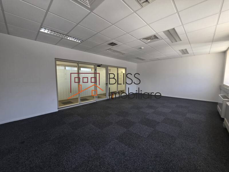 Office Space, Bucharest | Bliss Imobiliare / Photo 8 - BLISS Imobiliare