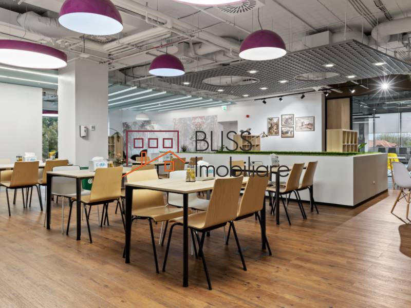 All-Inclusive Office Space, Bucharest | Bliss Imobiliare / Photo 19 - BLISS Imobiliare