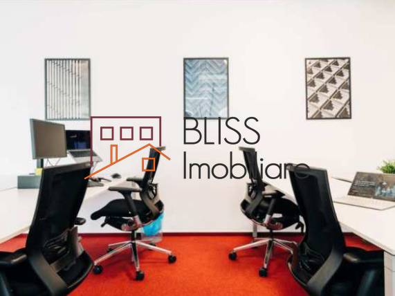 Private Office Space, Bucharest | Bliss Imobiliare / Photo 3 - BLISS Imobiliare