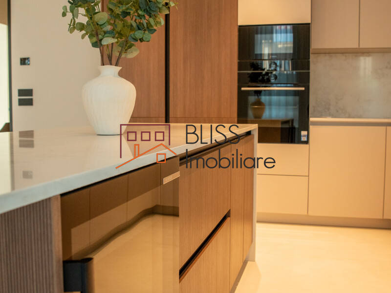 Vila de Inchiriat Iancu Nicolae | Pipera - 5 Camere - ID:126216 | Bliss Imobiliare / Photo 13 - BLISS Imobiliare