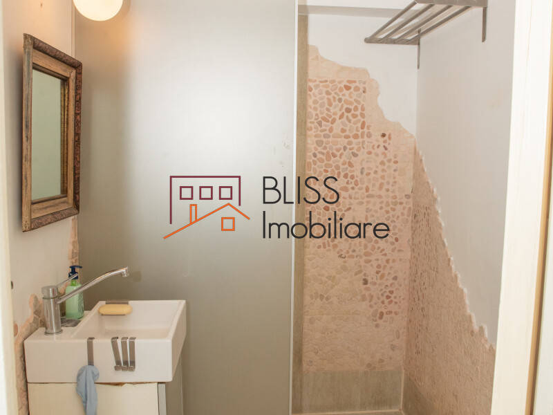 1-Bedroom Apartment, 70 Sqm, Artistic Atmosphere In Piata Victoriei, Bucharest | Bliss Imobiliare / Photo 26 - BLISS Imobiliare