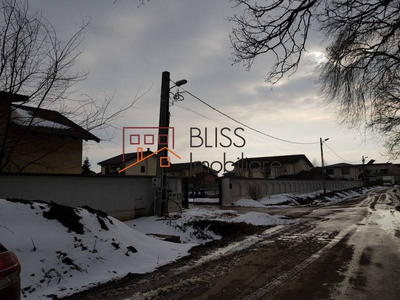 Photo 2 - BLISS Imobiliare