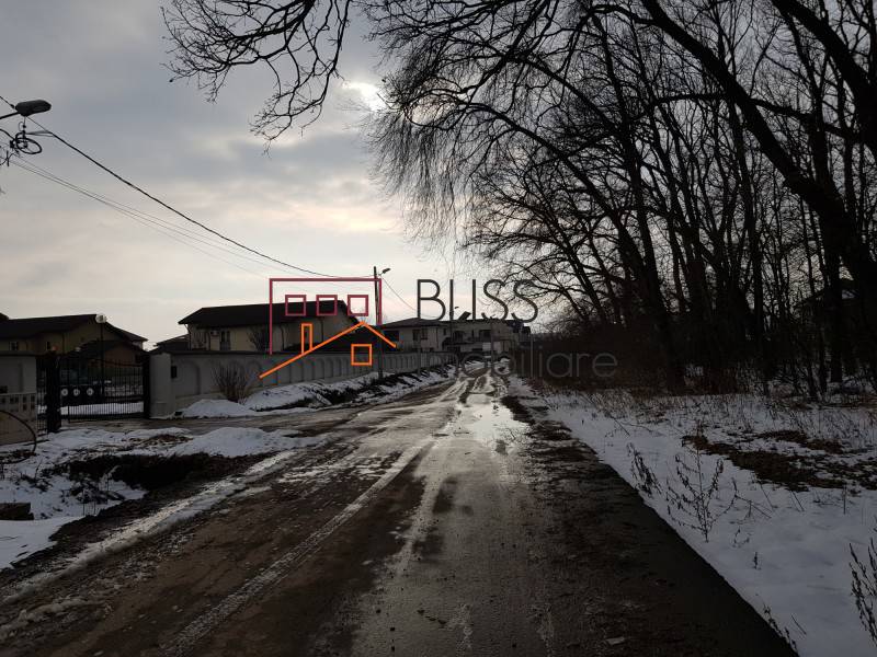 Photo 3 - BLISS Imobiliare
