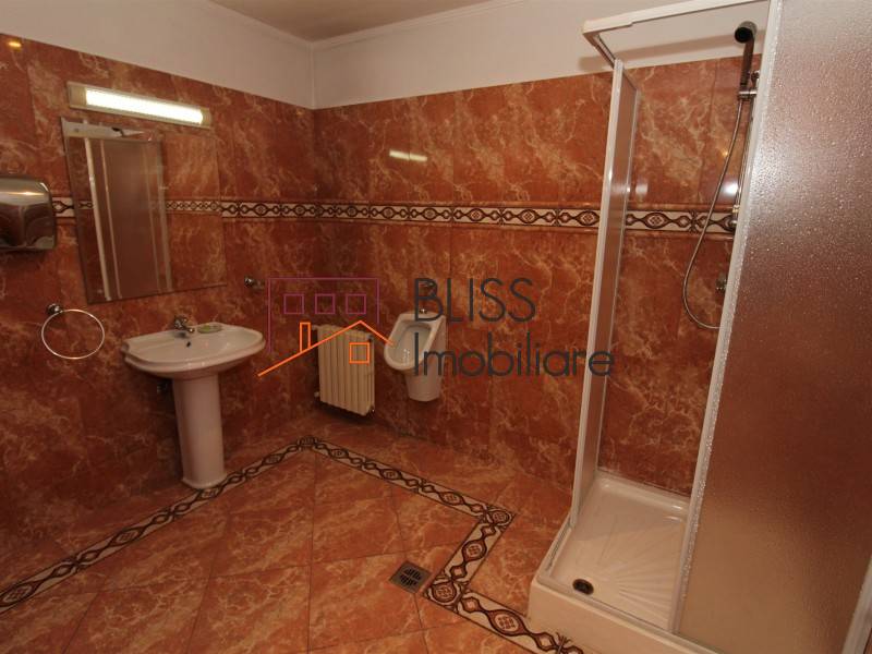 Villa for Sale Iancu Nicolae | Pipera, Bucharest / Ilfov - 5 Bedroom - ID:58989 | Bliss Imobiliare / Photo 47 - BLISS Imobiliare