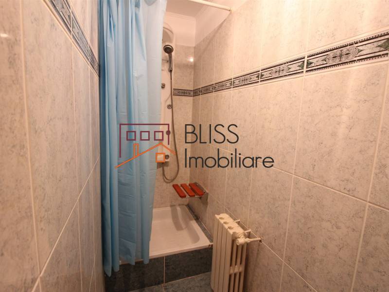 Vila de Vanzare Iancu Nicolae | Pipera - 10 Camere - ID:58989 | Bliss Imobiliare / Photo 55 - BLISS Imobiliare