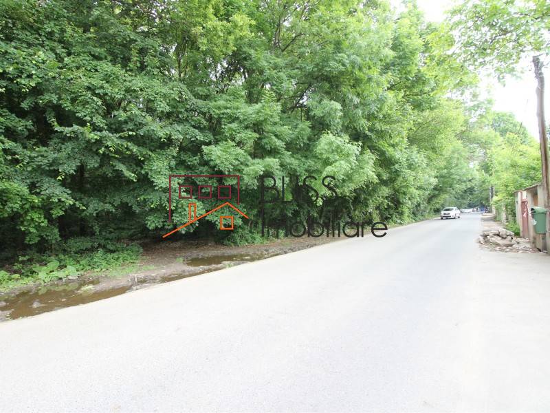 Villa for Sale Iancu Nicolae | Pipera, Bucharest - 6 Bedroom - ID:71566 | Bliss Imobiliare / Photo 58 - BLISS Imobiliare