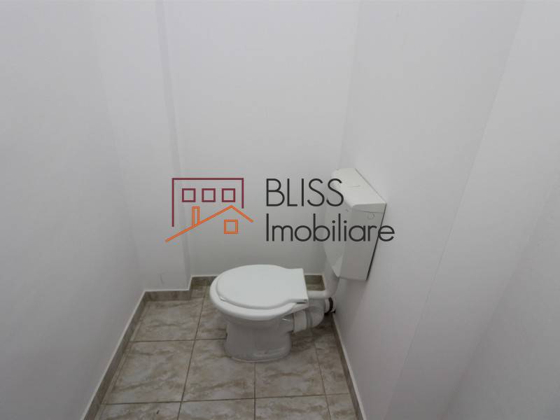 House / Villa, 14 Rooms, Bucharest | Bliss Imobiliare / Photo 23 - BLISS Imobiliare
