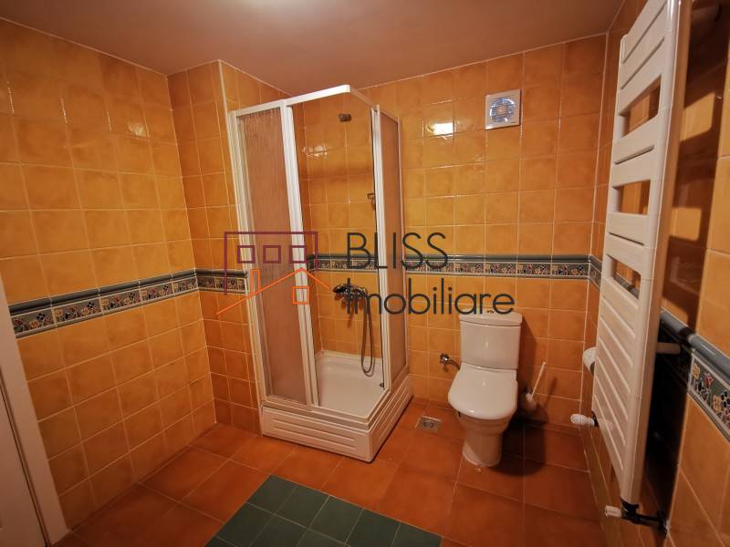 Vila Cu Piscina | Bliss Imobiliare / Photo 45 - BLISS Imobiliare
