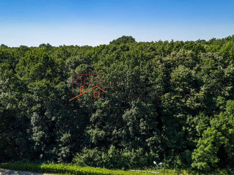 Photo 4 - BLISS Imobiliare