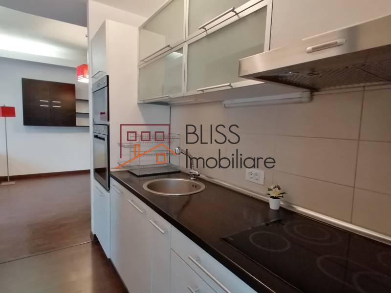 1 Bedroom Apartment North Aviatiei, Bucharest | Bliss Imobiliare / Photo 4 - BLISS Imobiliare
