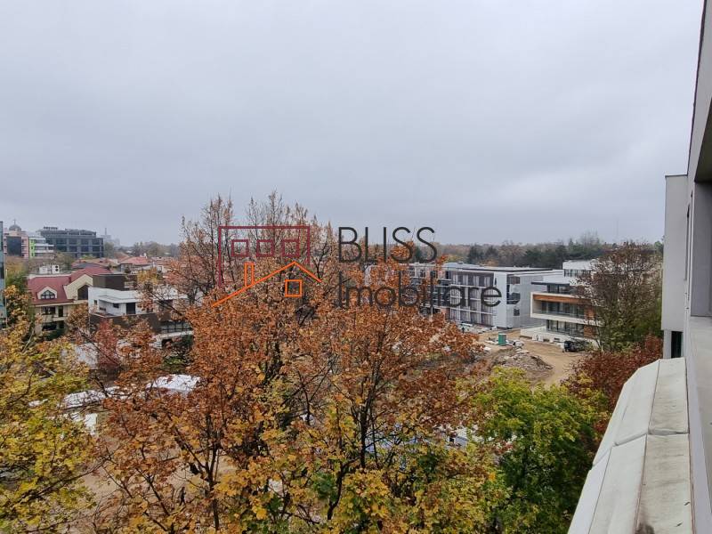 2 Bedroom Penthouse With Parking In Kiseleff, Bucharest | Bliss Imobiliare / Photo 36 - BLISS Imobiliare