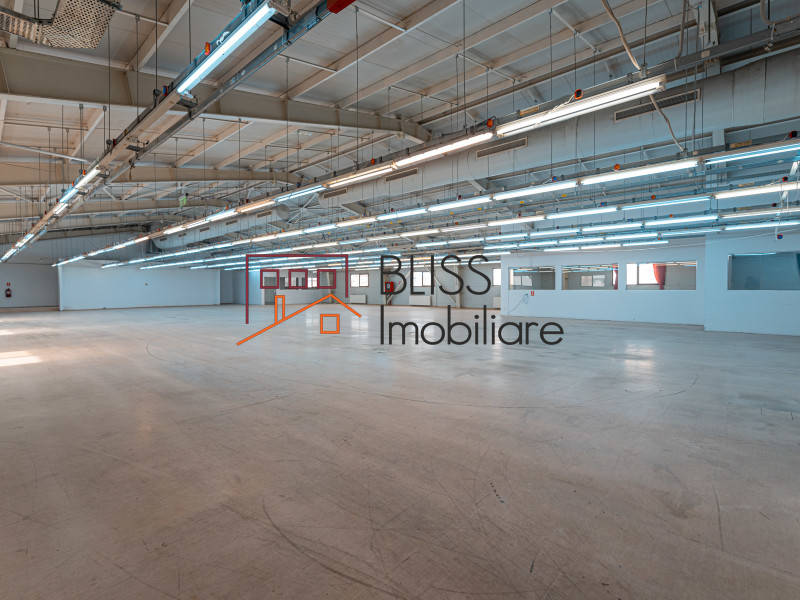 Spatiu De Productie Cu Birouri In Militari | Bliss Imobiliare / Photo 40 - BLISS Imobiliare